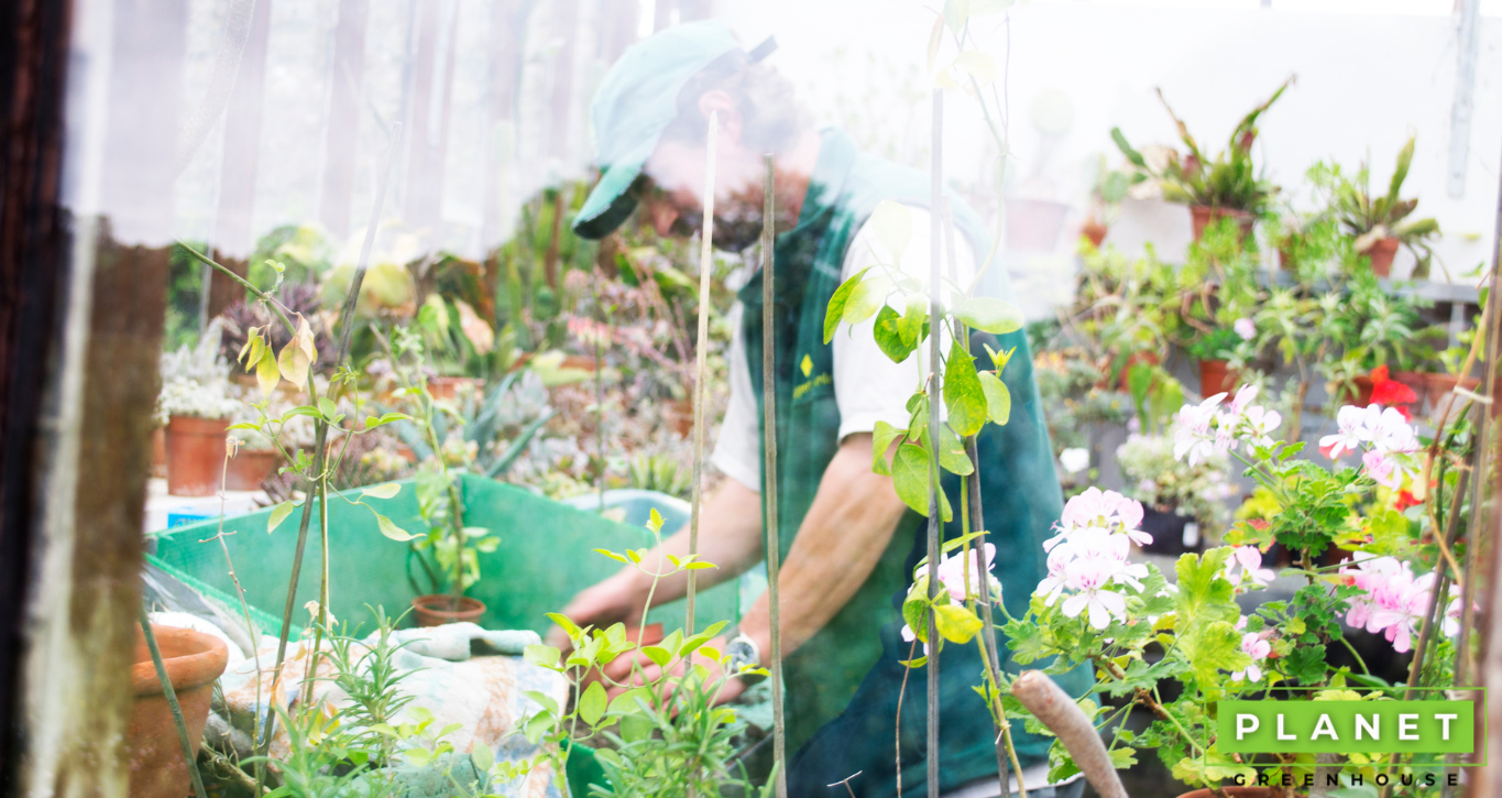 Maximizing Your Living Space: Why Junk Removal Services are a Must - Garden  & Greenhouse