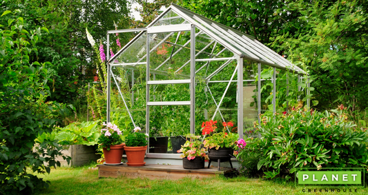 The Best Greenhouse Roof Material Planting Guides