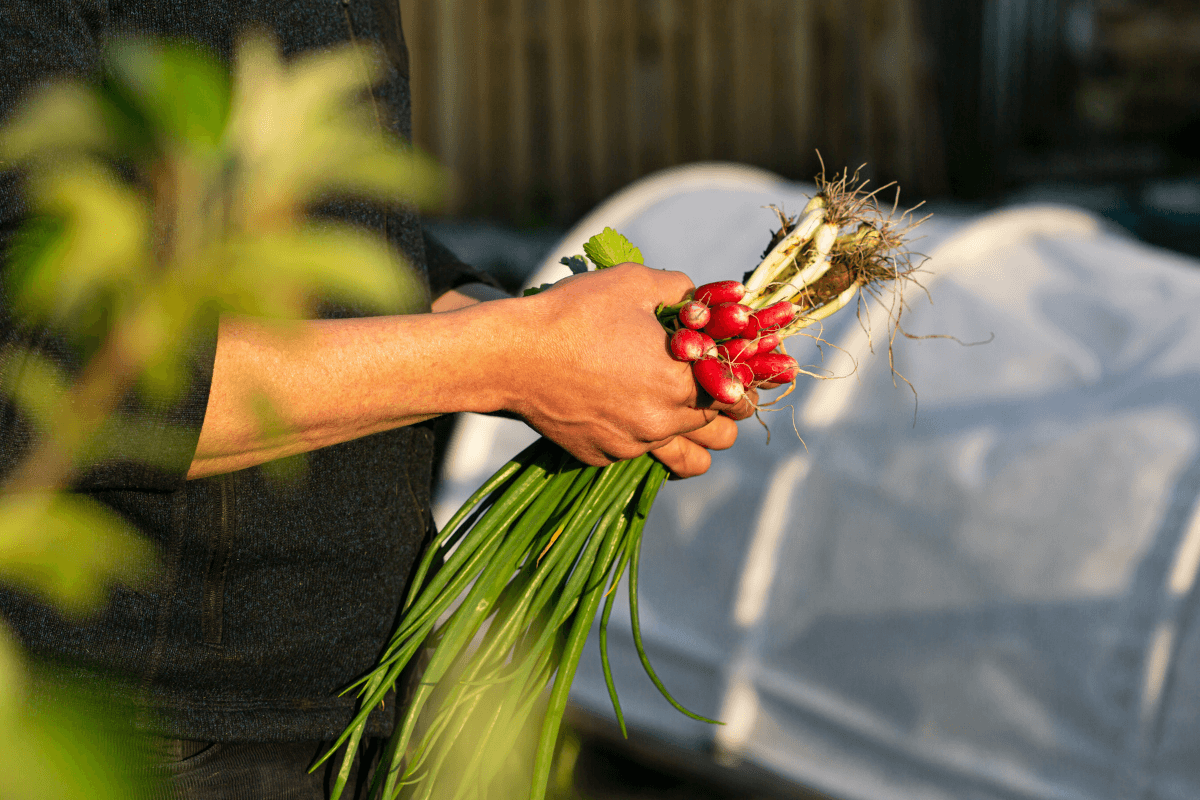 Portable Greenhouses