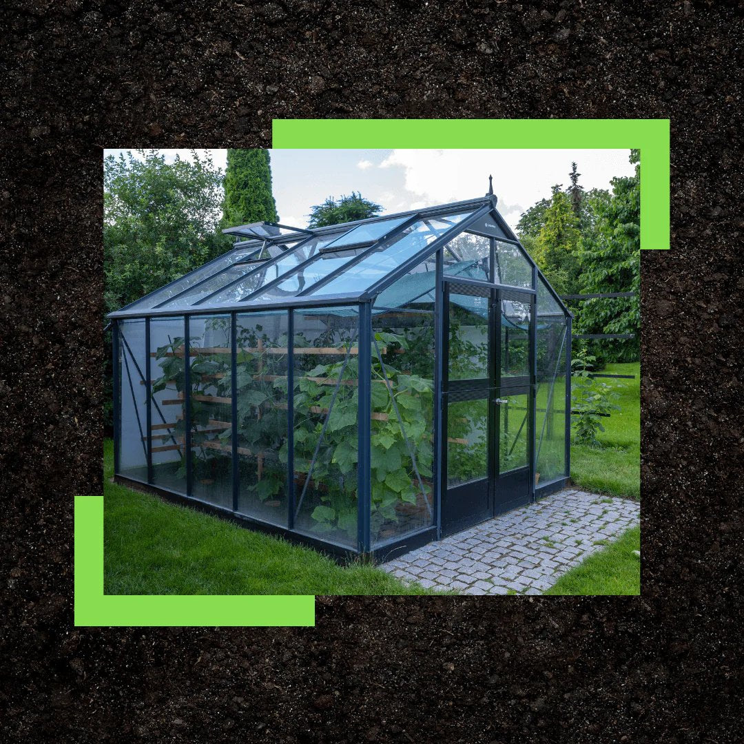 Mont Greenhouses