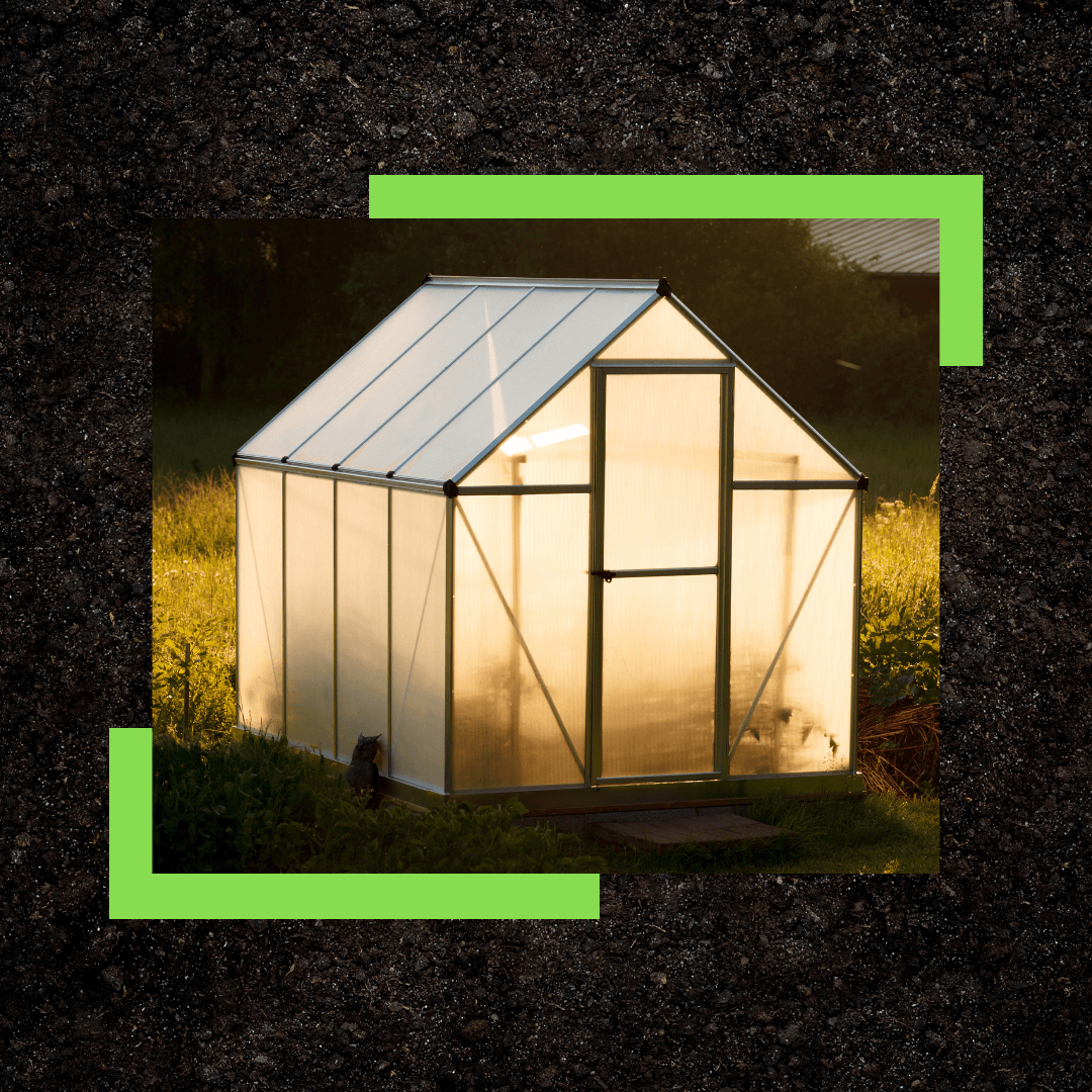 Best Greenhouses For Sale