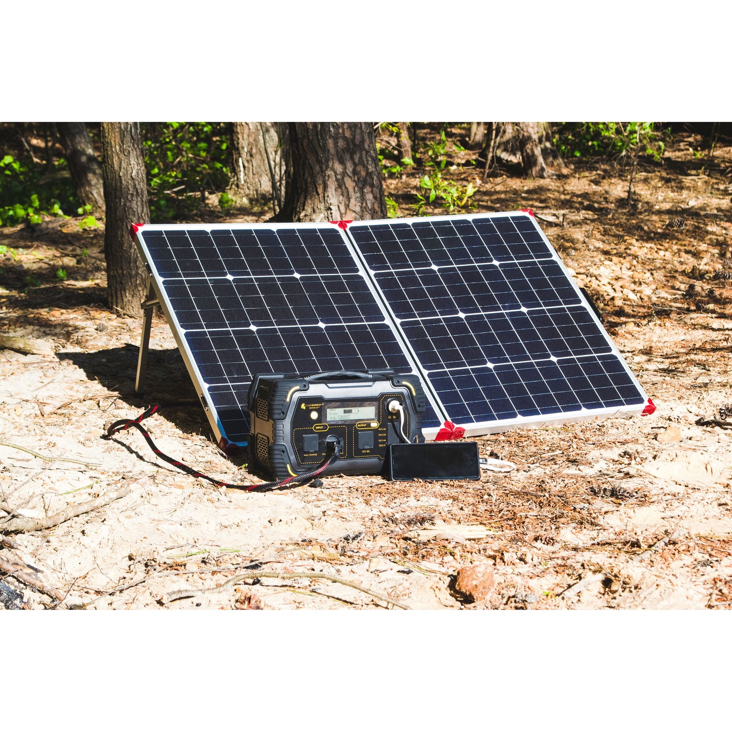 Lion 100W 12V Panel Folding Solar Panel, 100W, 12V
