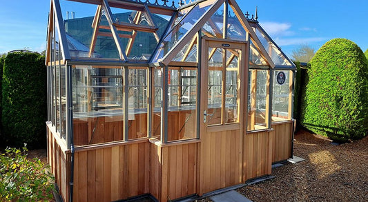 Alton Durham T- shaped Cedar Half-Boarded Greenhouse