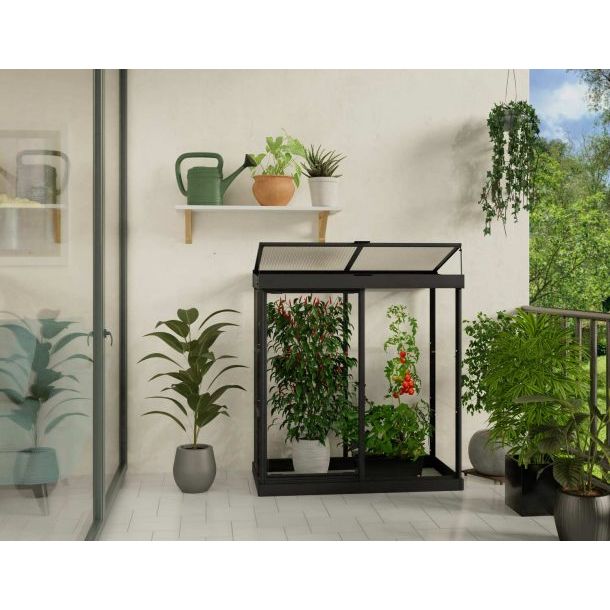 Palram - Canopia Ivy 4' x 2' Mini Greenhouse - Black