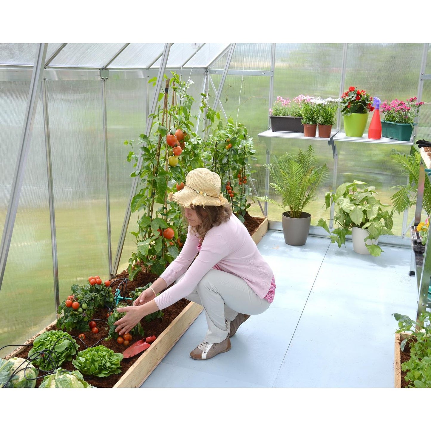 Palram - Canopia Essence 8' x 16' Greenhouse