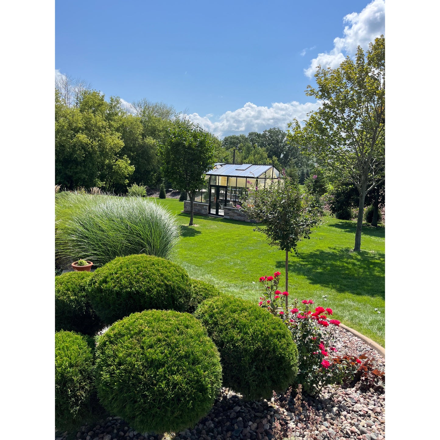 Exaco Janssens Royal Victorian VI 36 Greenhouse 10 x 20 ft