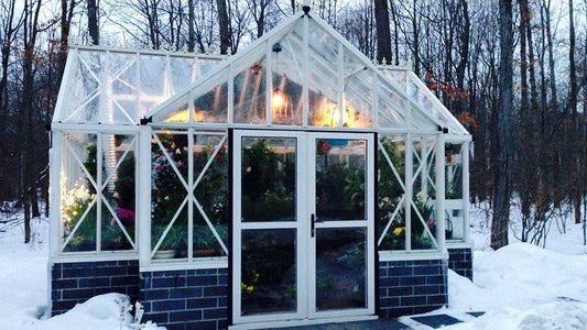 Exaco - Janssens Royal Antique Orangerie Greenhouse 13 x 16'