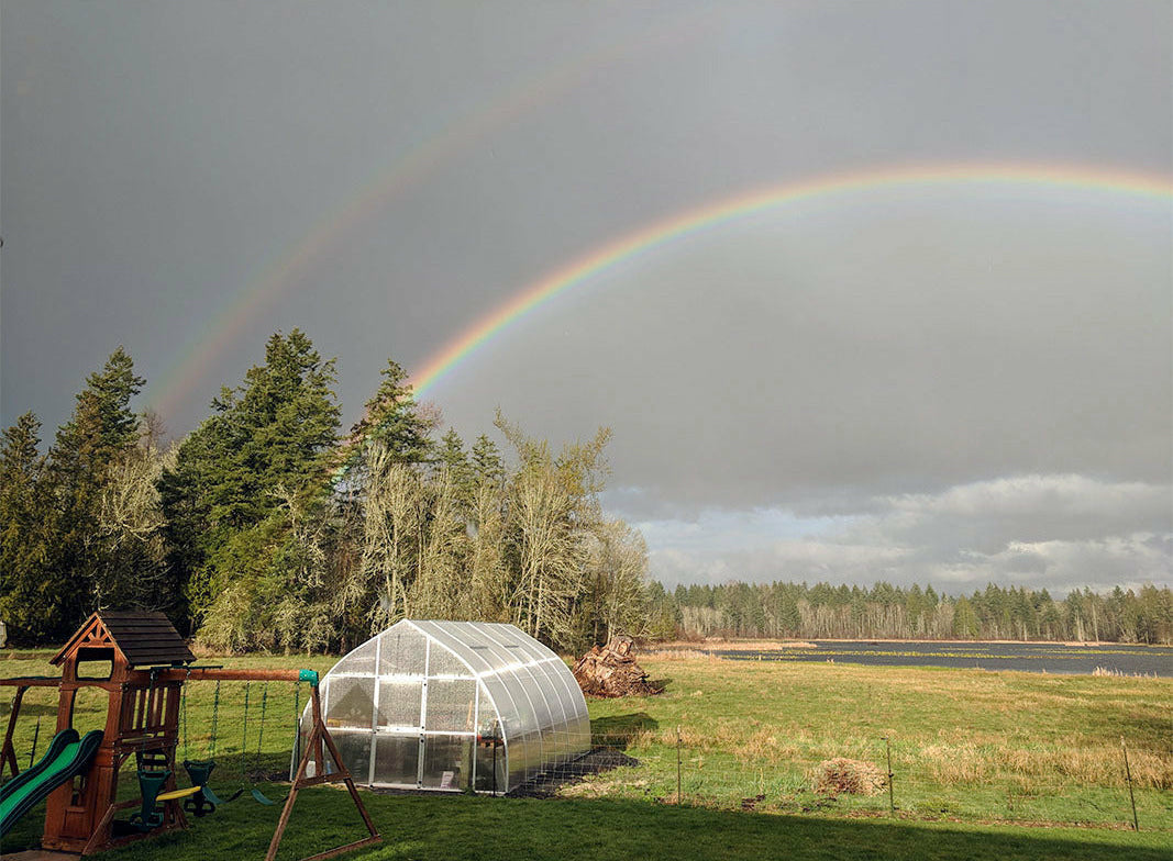 RIGA XL 6 Greenhouse 14' x 19'10"