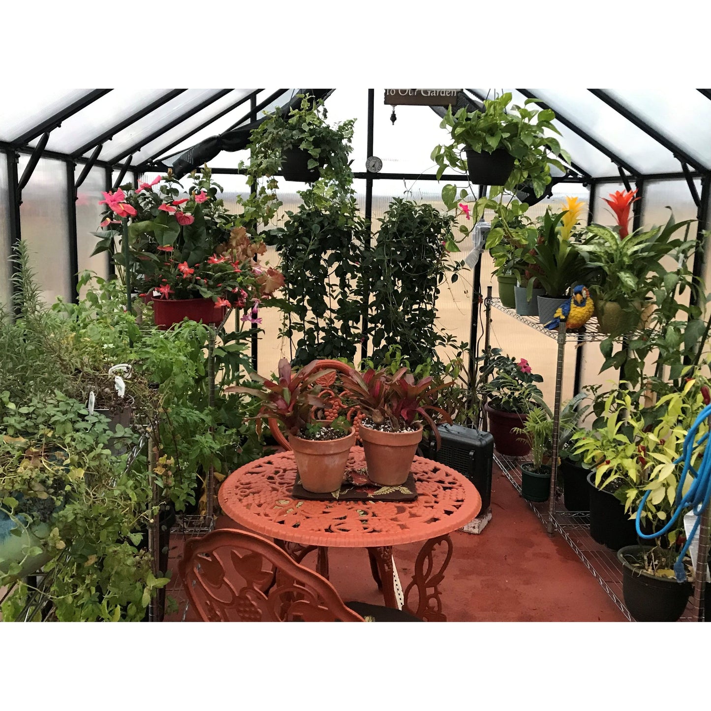 Mont Greenhouse 8FTx 20FT - Black Finish - Premium Package MONT-20-BK-PREMIUM