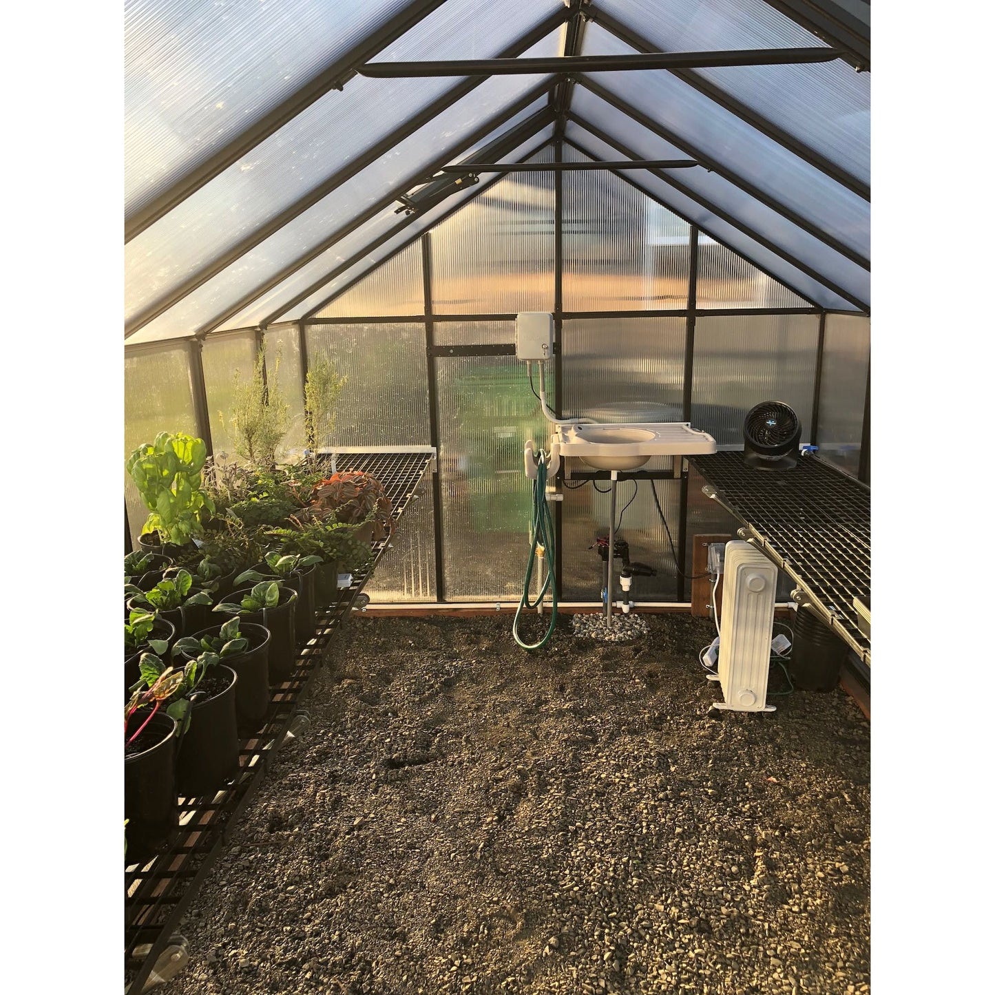 Mont Greenhouse 8FTx 12FT - Black Finish - Premium Package MONT-12-BK- PREMIUM