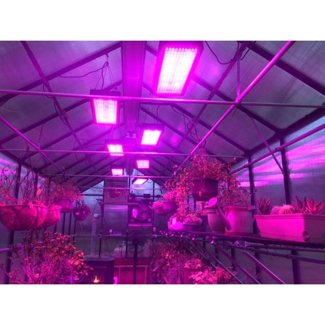 Mont Growers Edition Greenhouse 8FTx 24FT - Black Finish MONT-24-BK-GROWERS