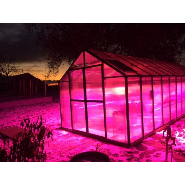 Mont Growers Edition Greenhouse 8FTx 24FT - Black Finish MONT-24-BK-GROWERS