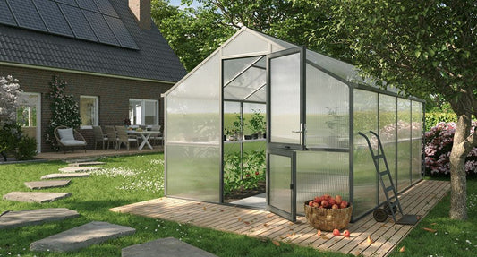 Nelke 4 Pro Greenhouse