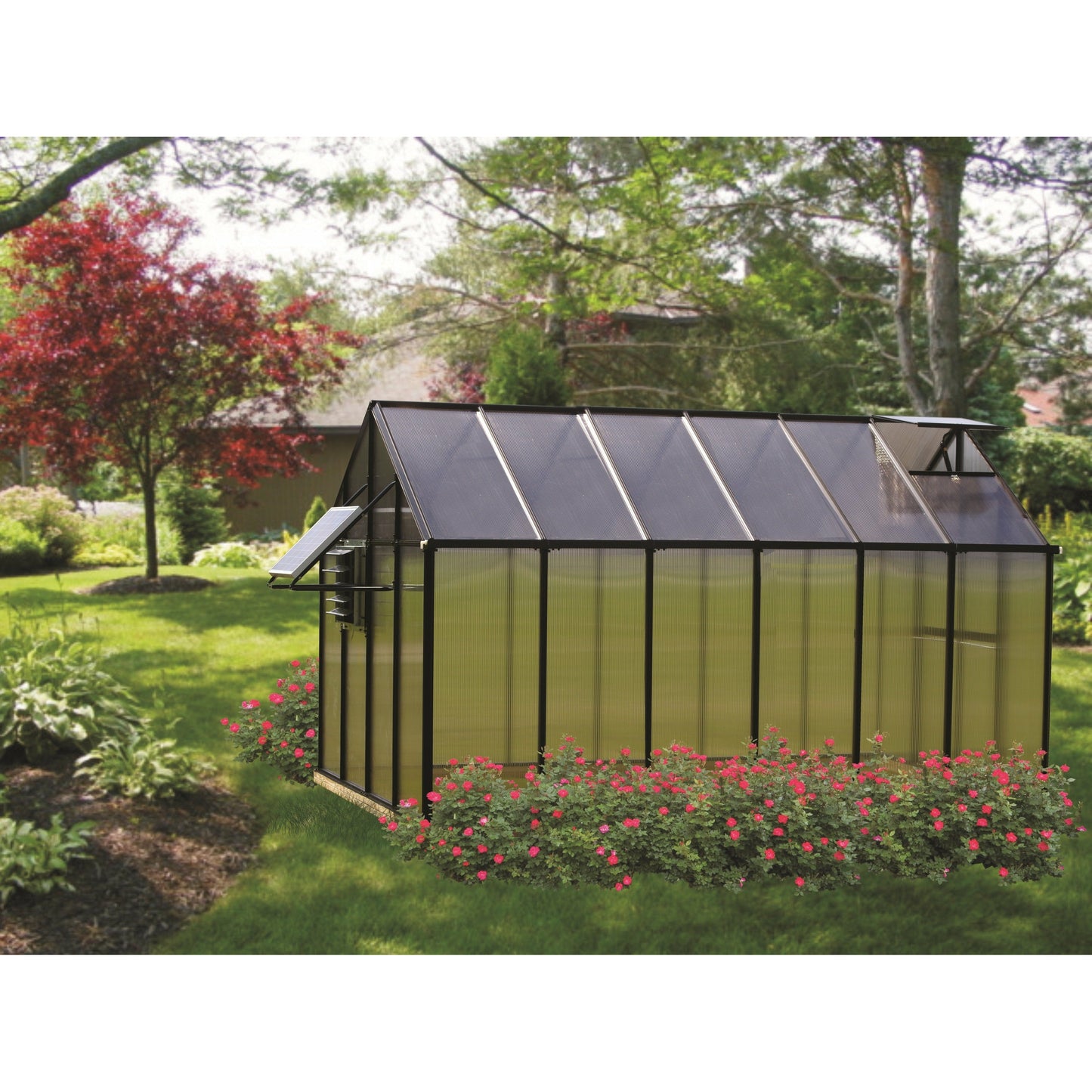 Mont Greenhouse 8FTx 12FT - Black Finish - Mojave MONT-12-BK-MOJAVE