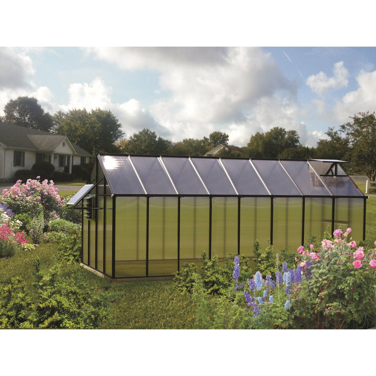 Mont Greenhouse 8FTx 16FT - Black Finish - Mojave MONT-16-BK-MOJAVE