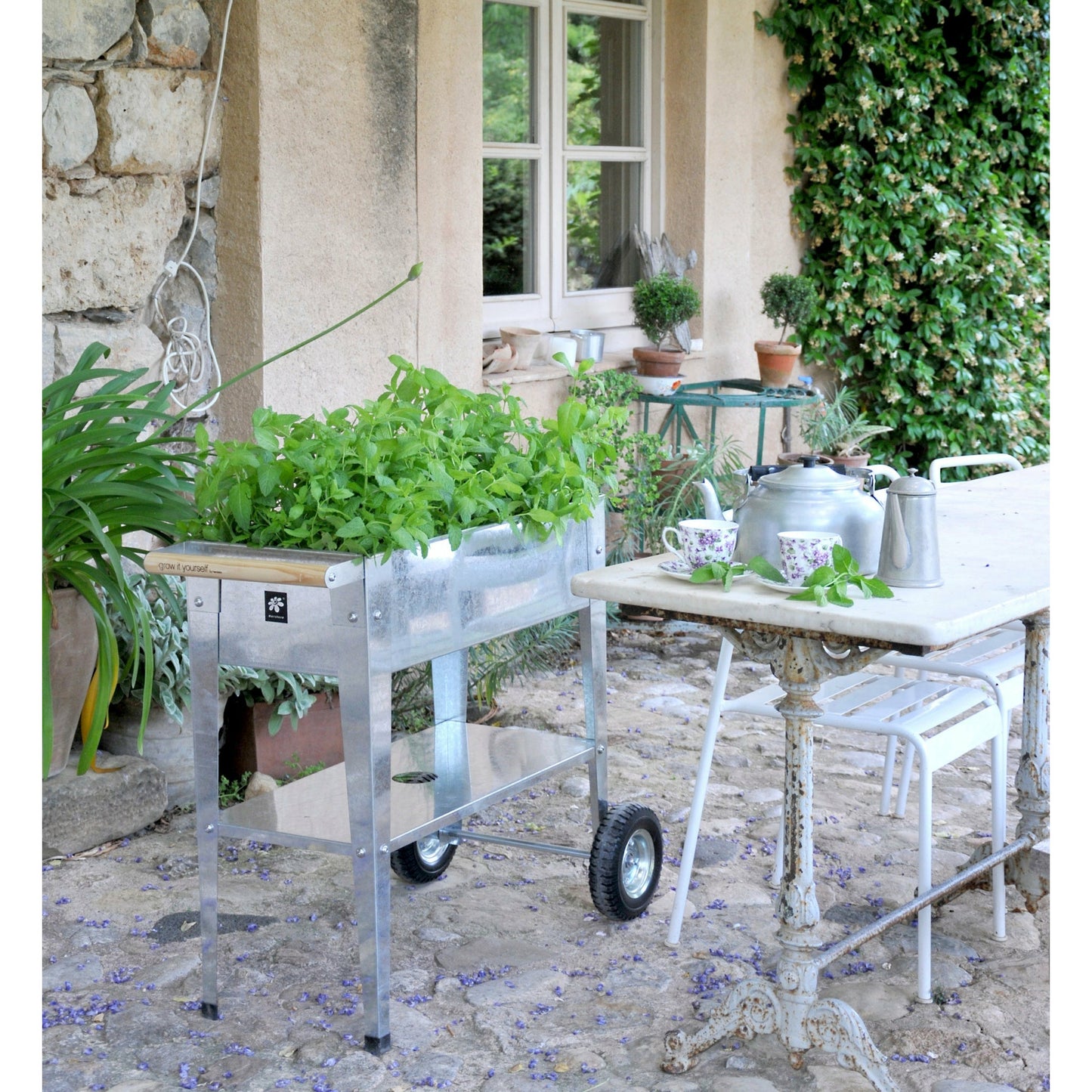 Garden Trolley Galvanized
