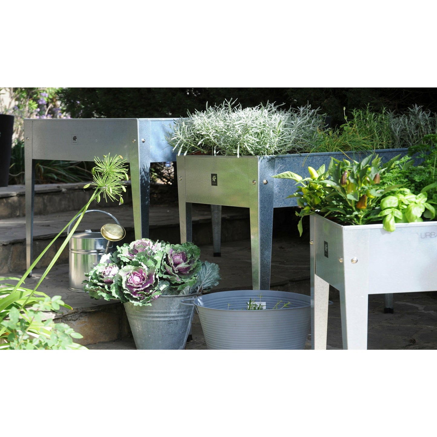 Urban Raised Planter Galvanized