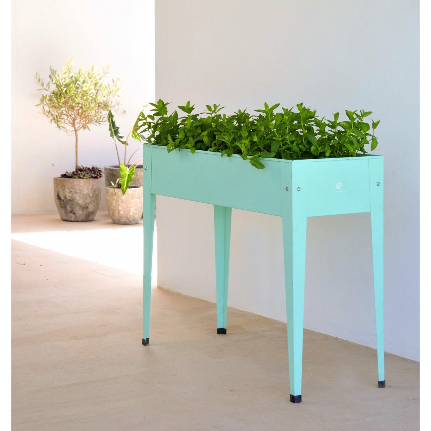 Urban Raised Planter Mint