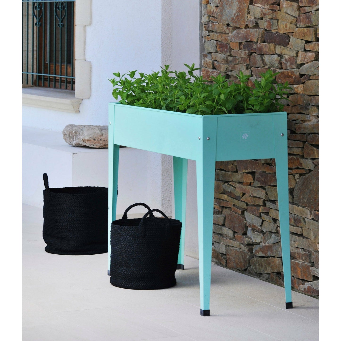 Urban Raised Planter Mint