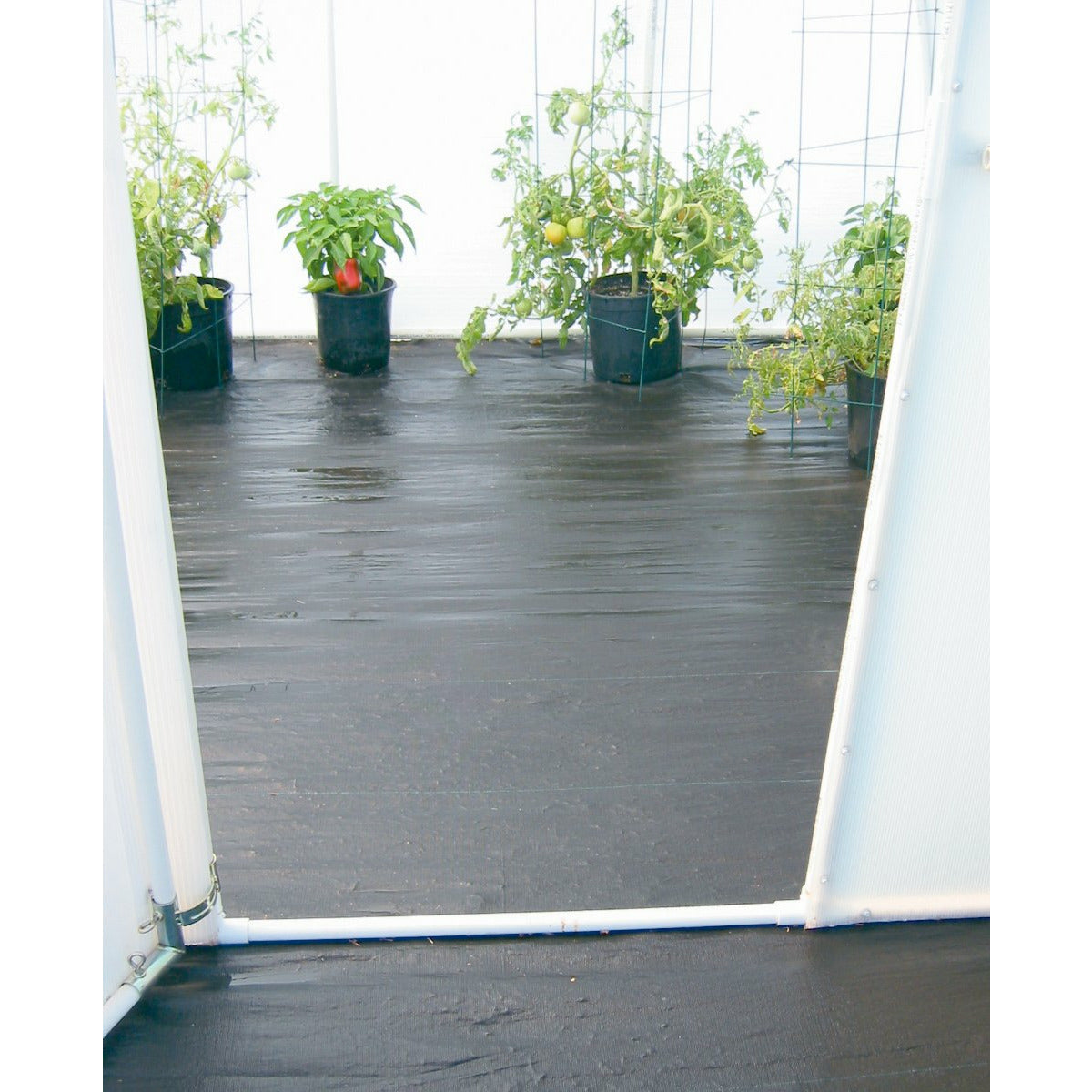 Greenhouse Flooring