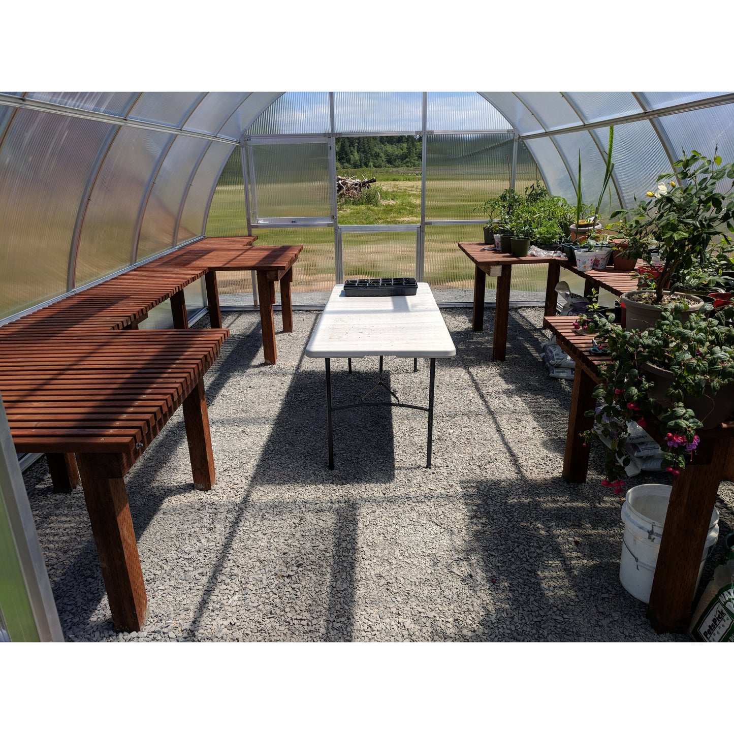 RIGA XL 6 Greenhouse 14' x 19'10"