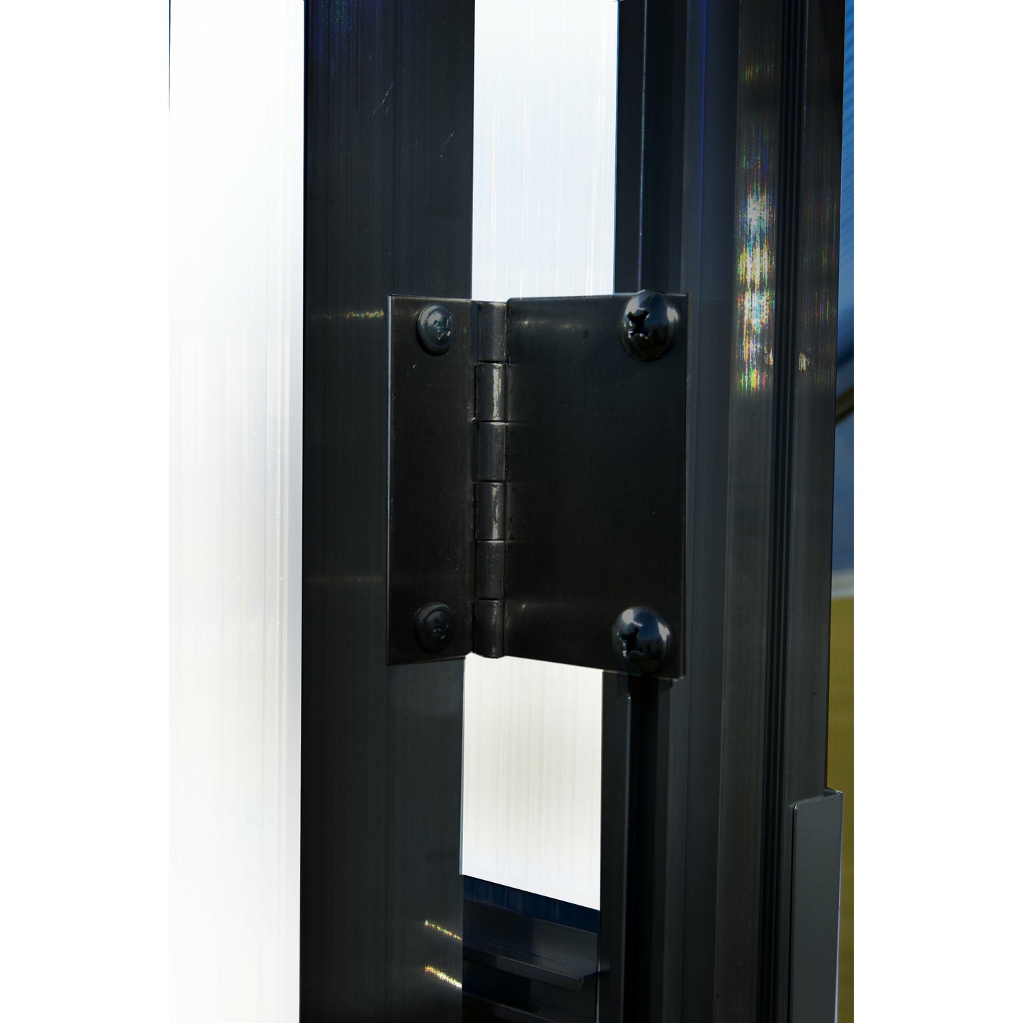 Mont Growers Edition Greenhouse 8FTx 8FT - Black Finish MONT-8-BK-GROWERS
