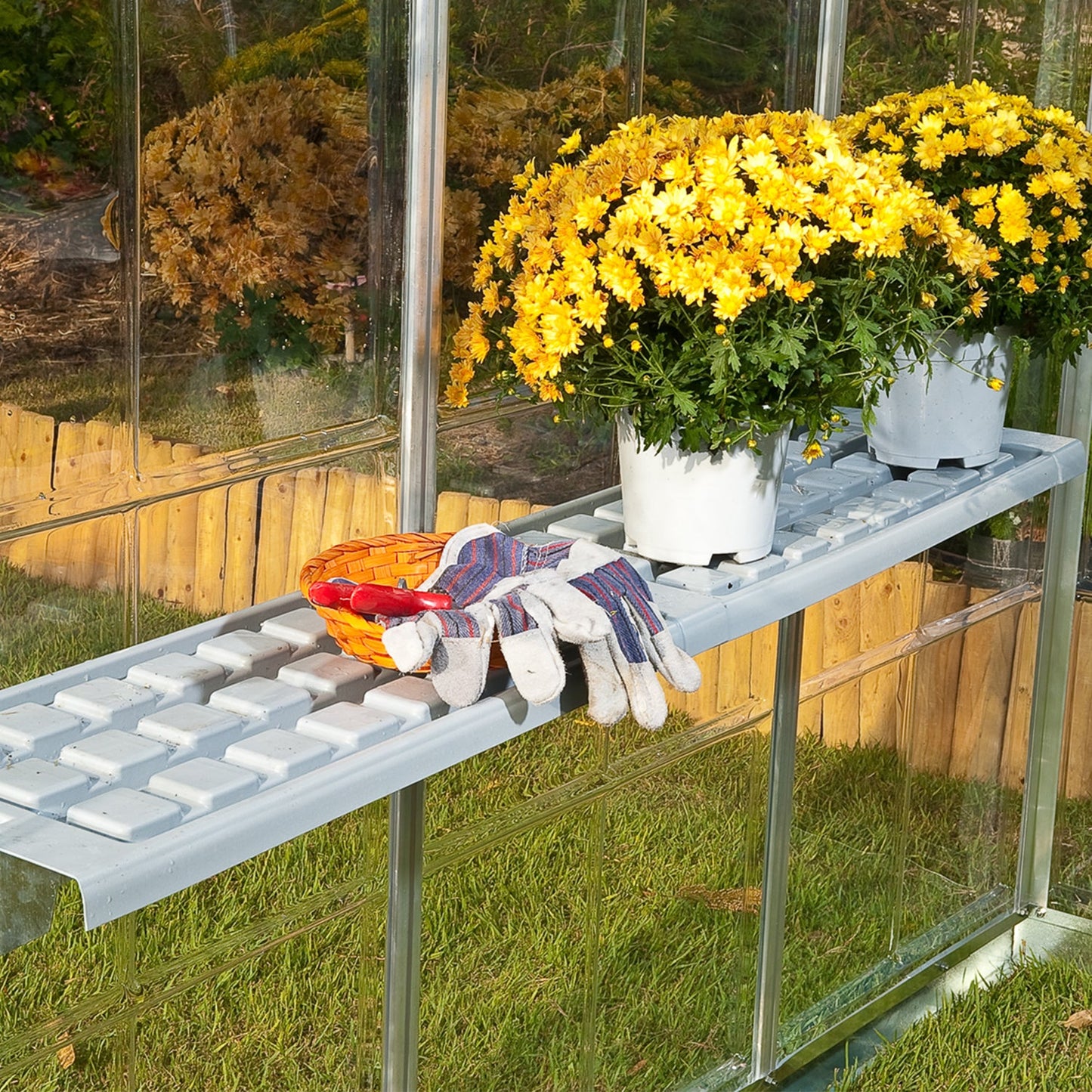 Palram Greenhouse Shelf for Palram - Canopia Greenhouses