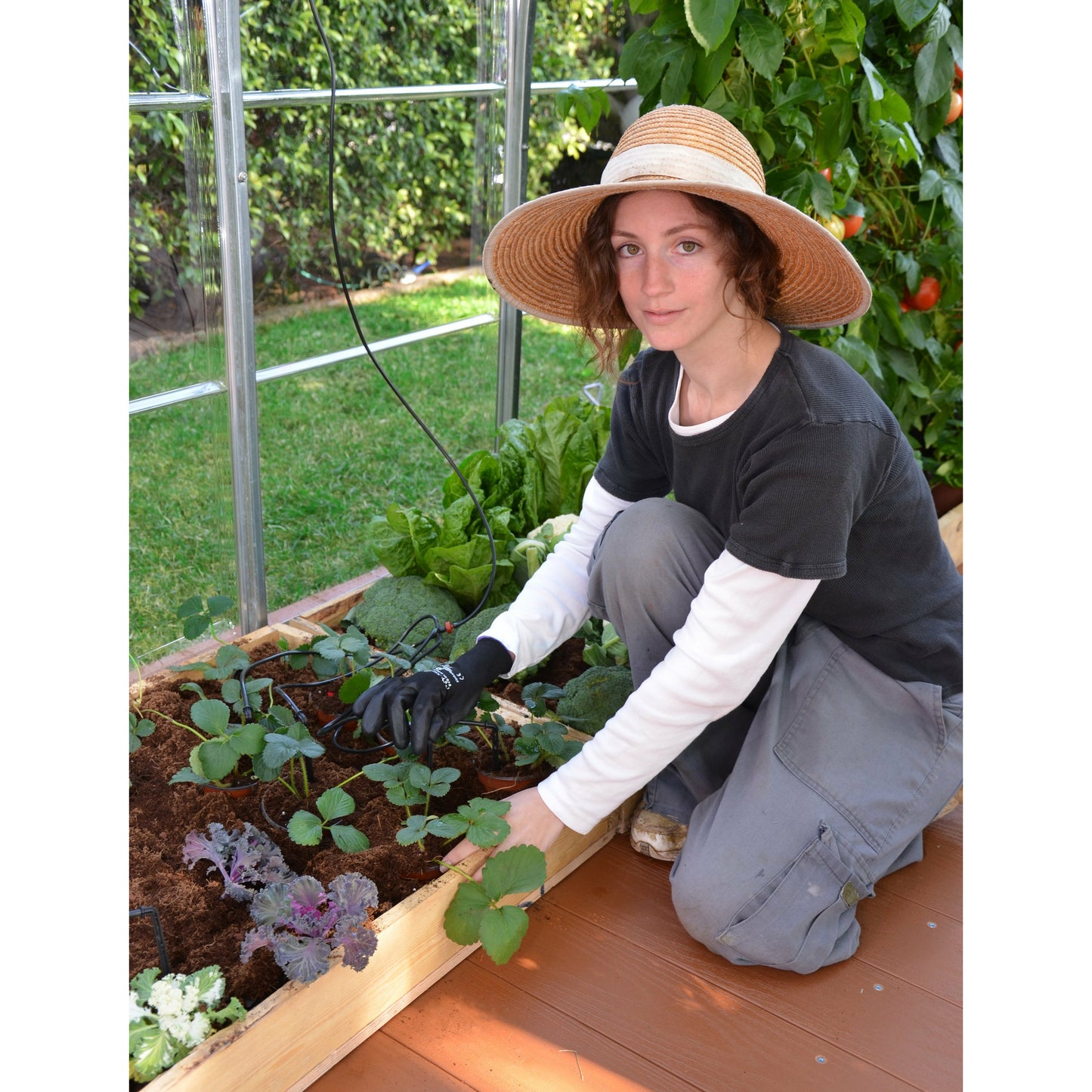 Palram Drip Irrigation Kit