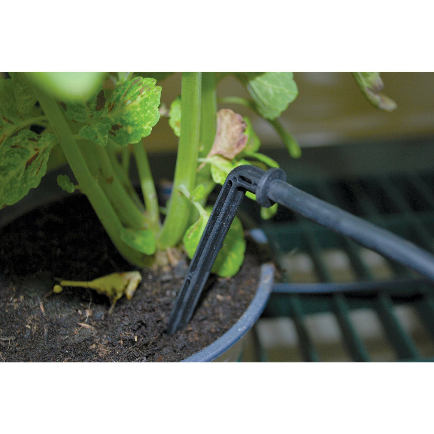 Palram Drip Irrigation Kit