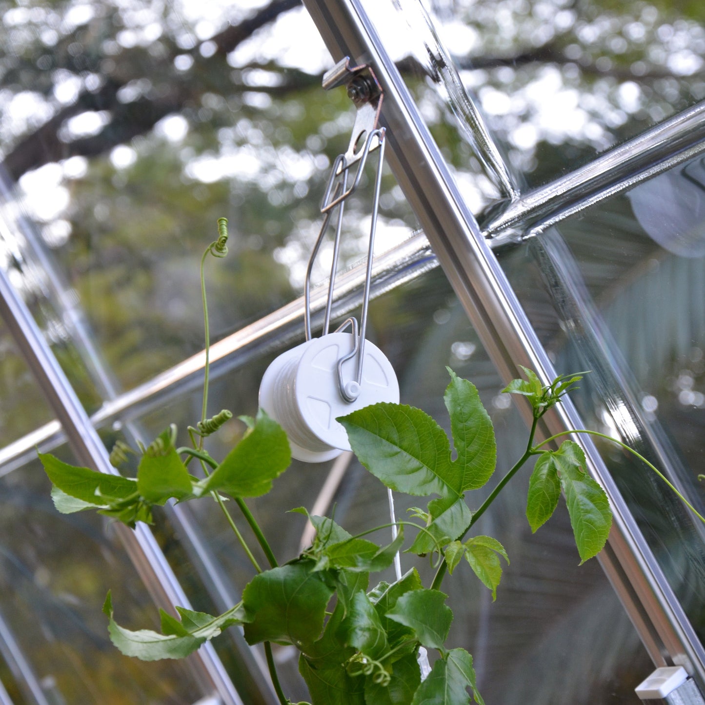Palram Trellising Kit Pro for Palram - Canopia and Rion Greenhouses