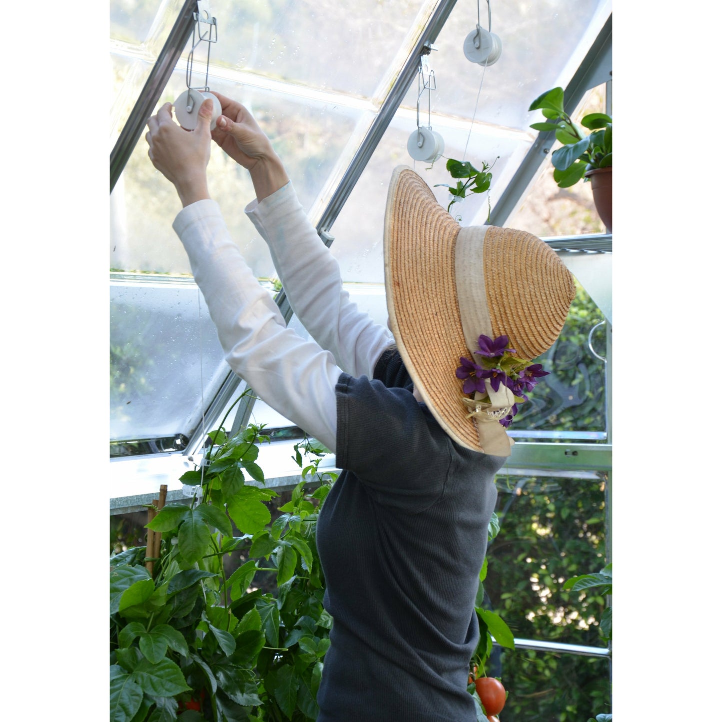 Palram Trellising Kit Pro for Palram - Canopia and Rion Greenhouses