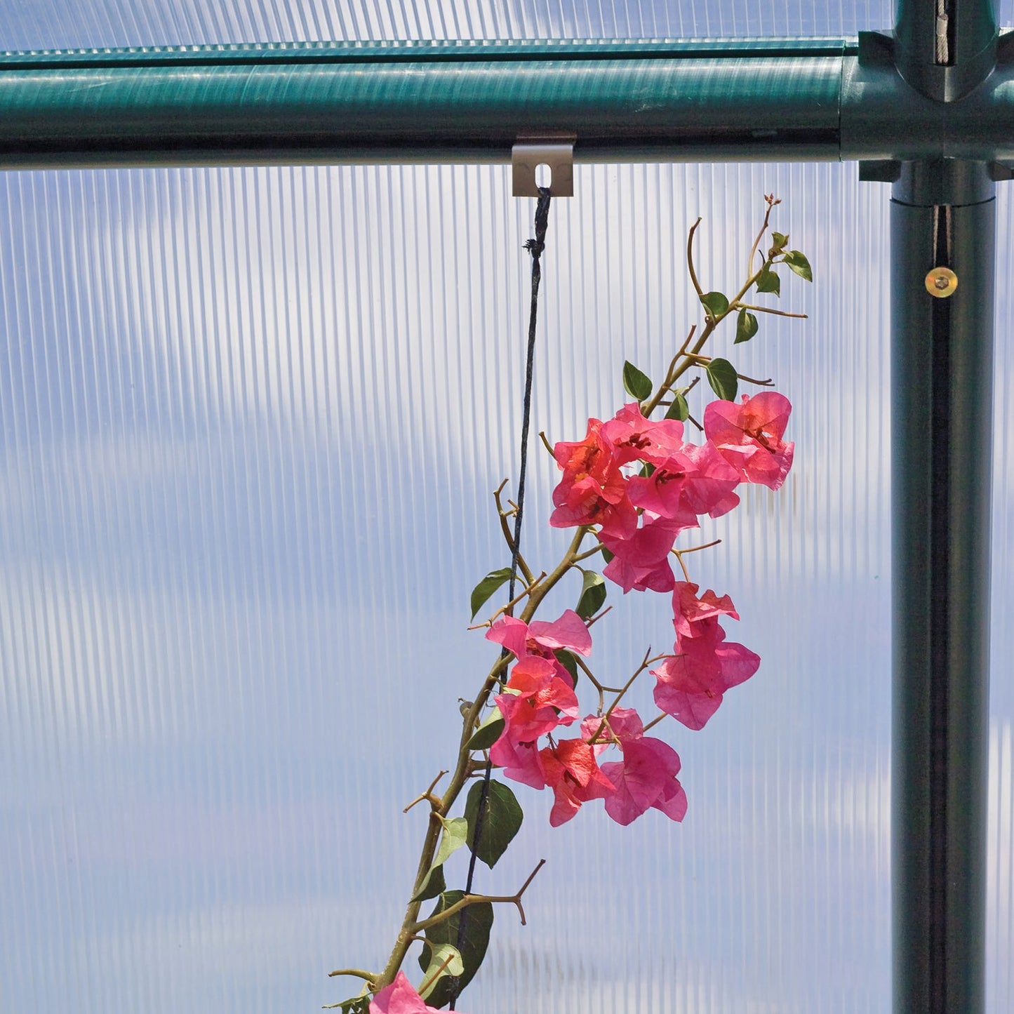 Rion Hanging & Anchoring Greenhouse Kit