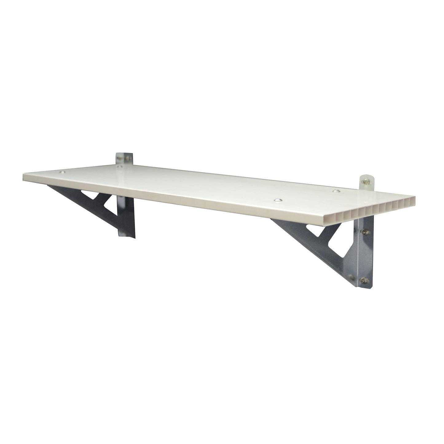 Palram SkyLight Storage Shed Shelf