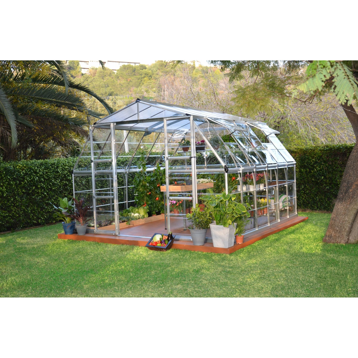 Palram Americana 12' x 12' Greenhouse