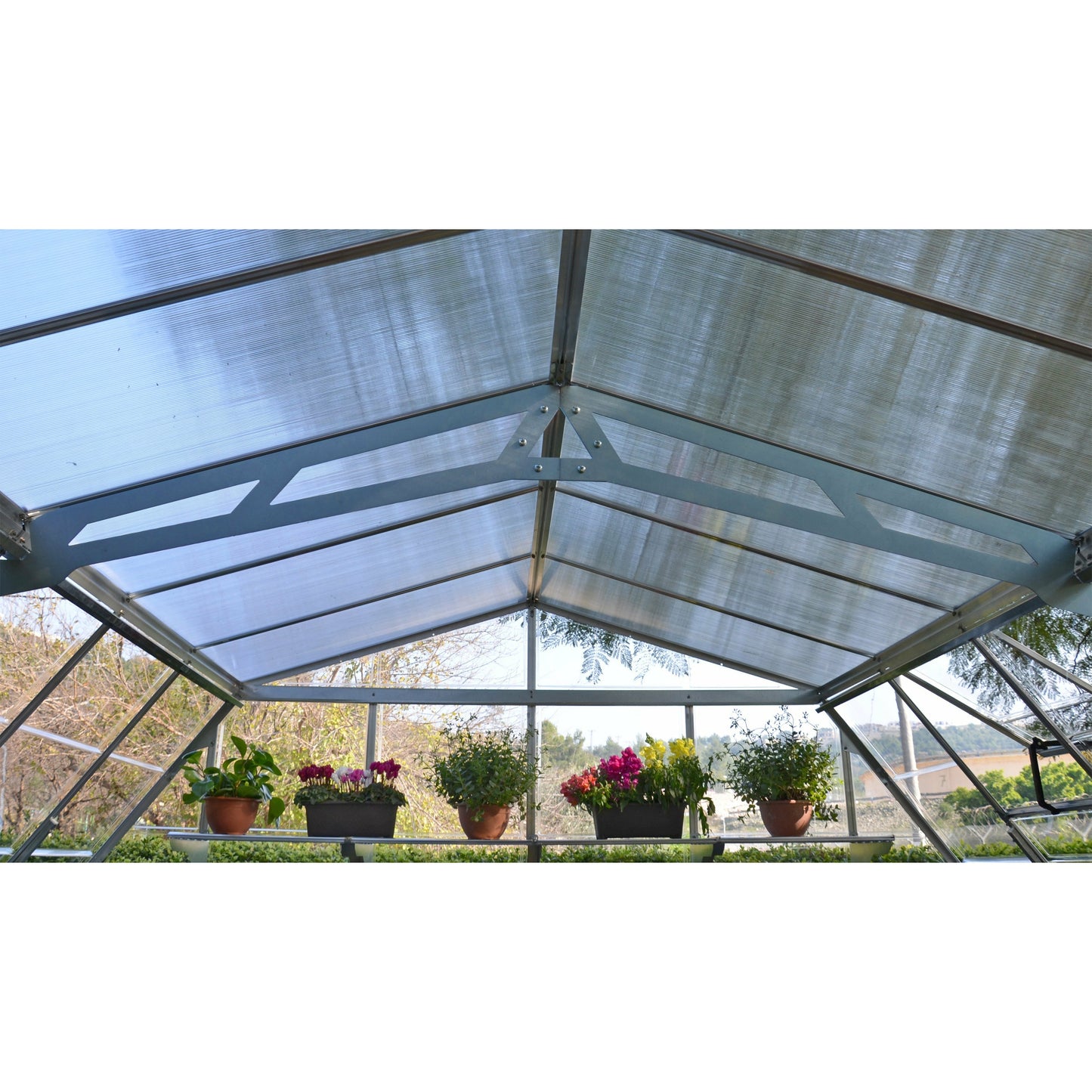 Palram Americana 12' x 12' Greenhouse