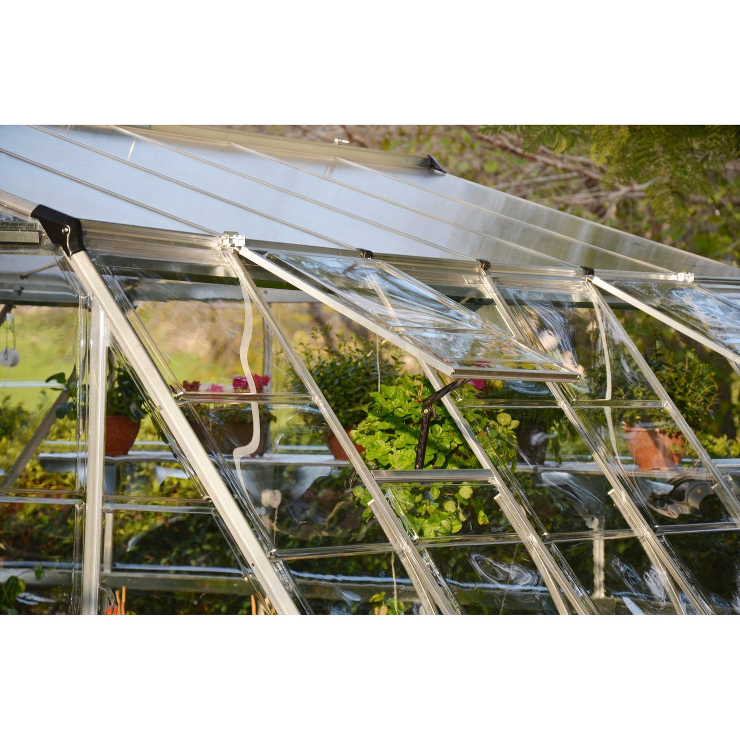 Palram Americana 12' x 12' Greenhouse
