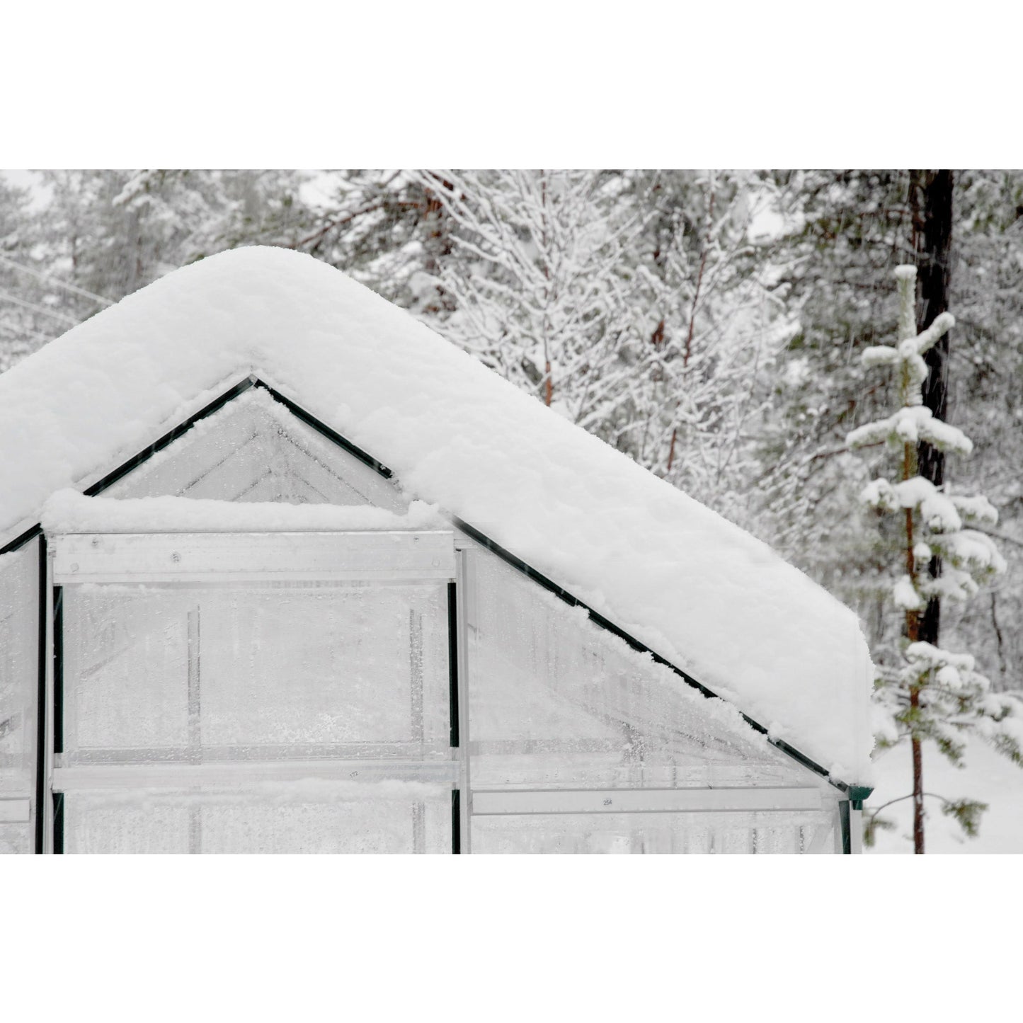 Palram Hybrid 6' x 8' Greenhouse - Silver