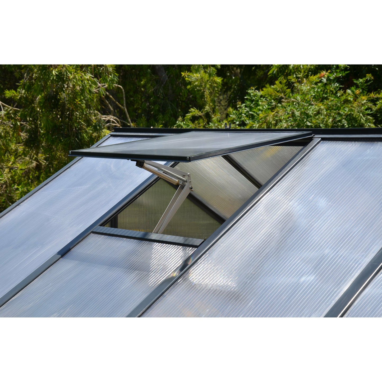 Palram Glory 8' x 8' Greenhouse