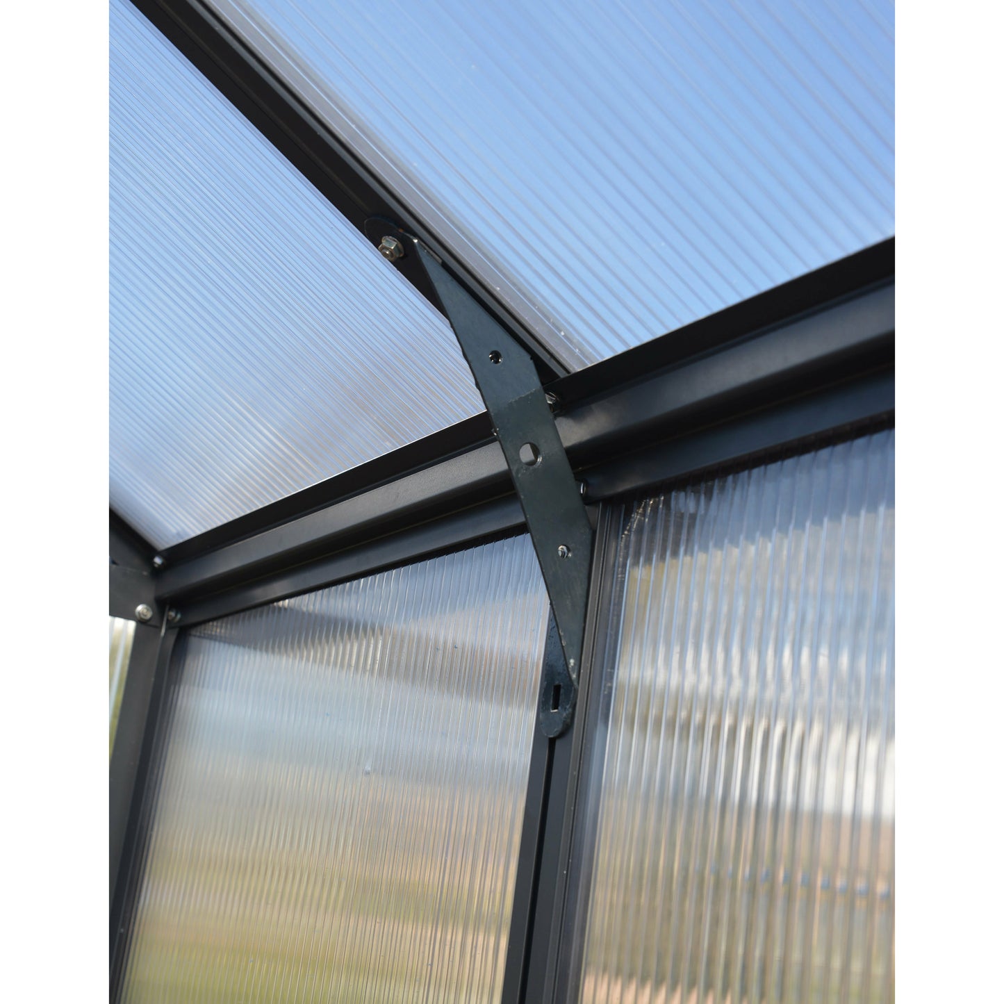 Palram Glory 8' x 8' Greenhouse