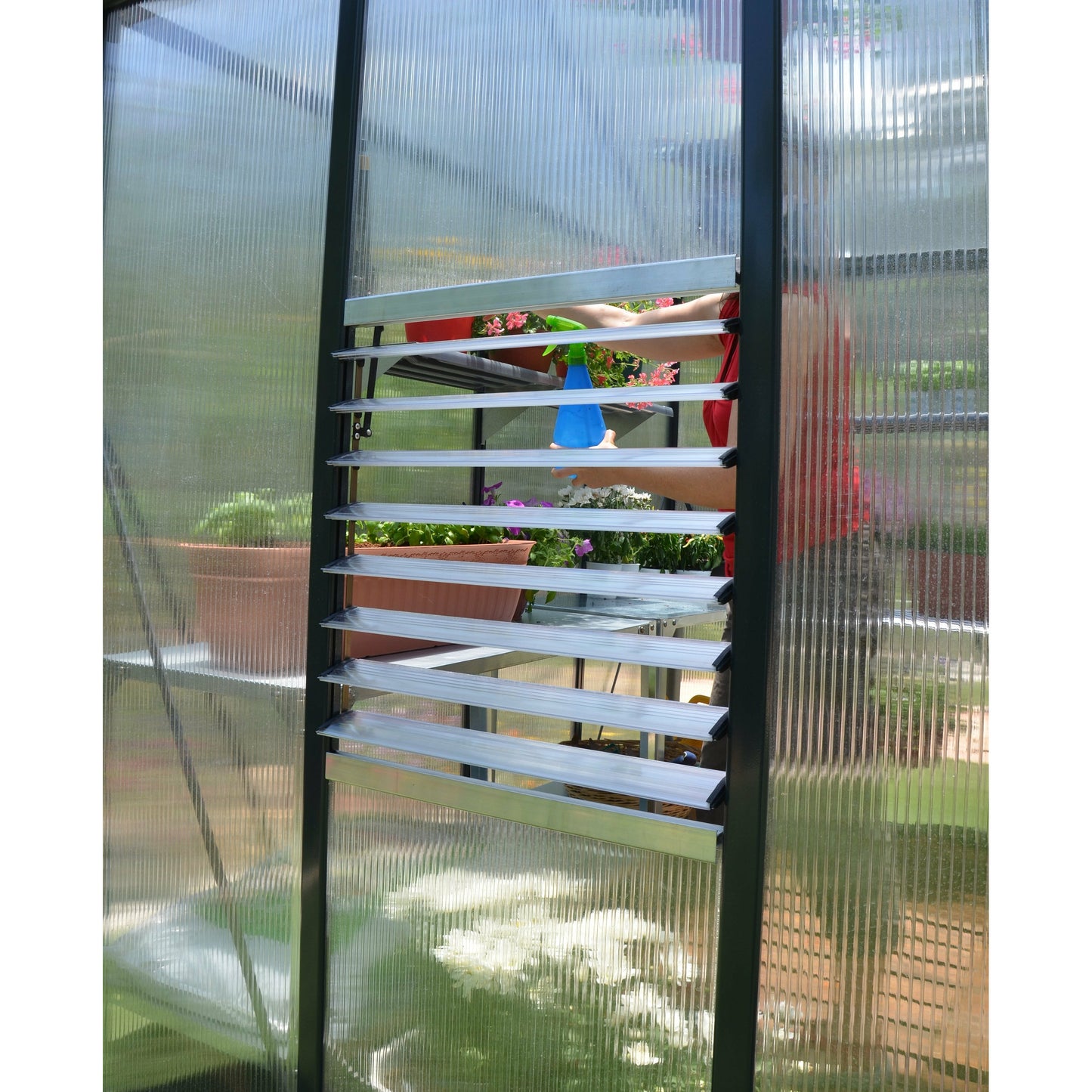 Palram Glory 8' x 16' Greenhouse