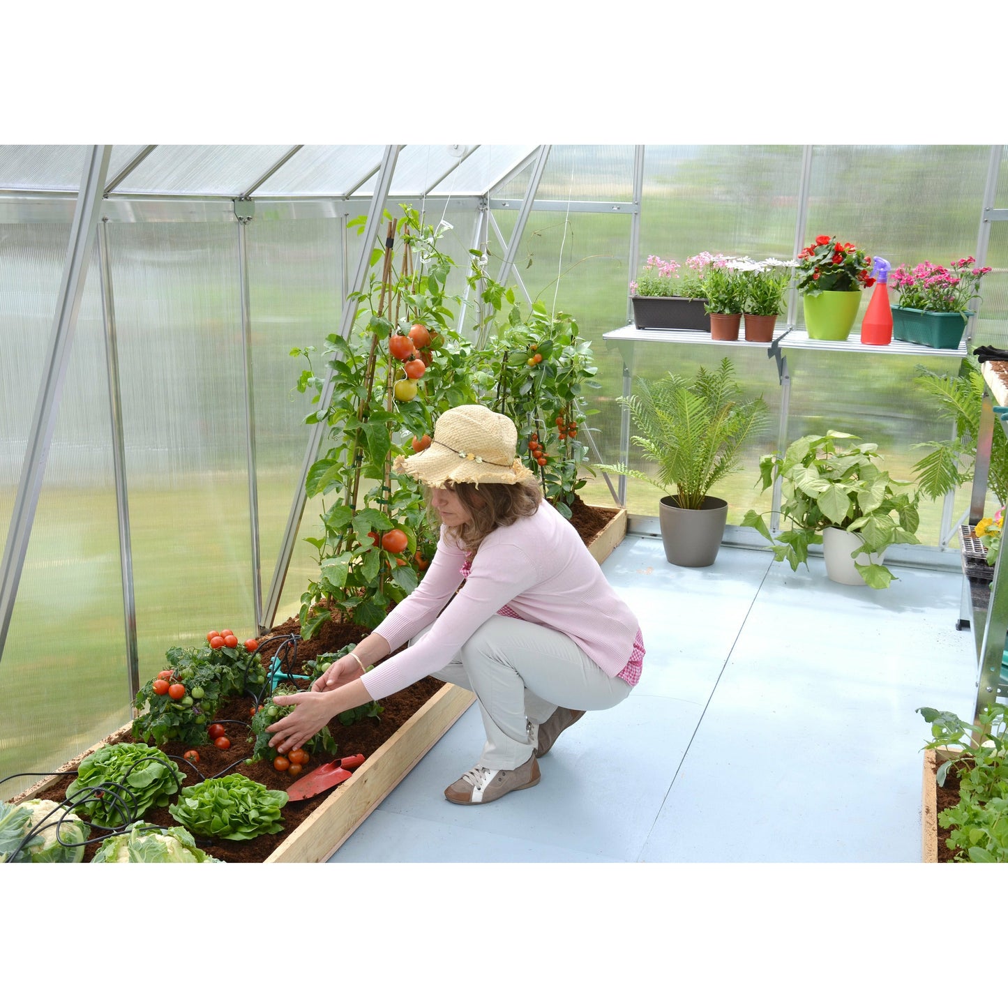 Palram Essence 8' x 12' Greenhouse