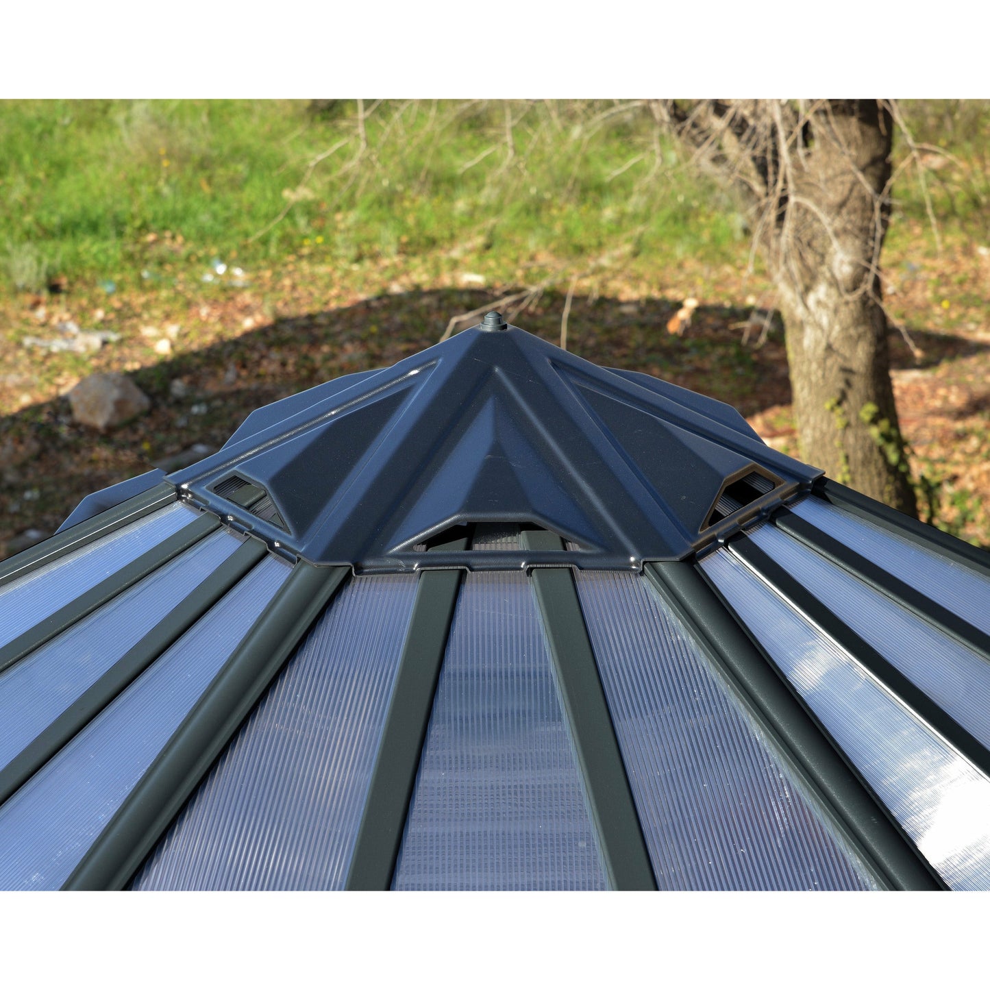 Palram Oasis Hex Greenhouse 12'