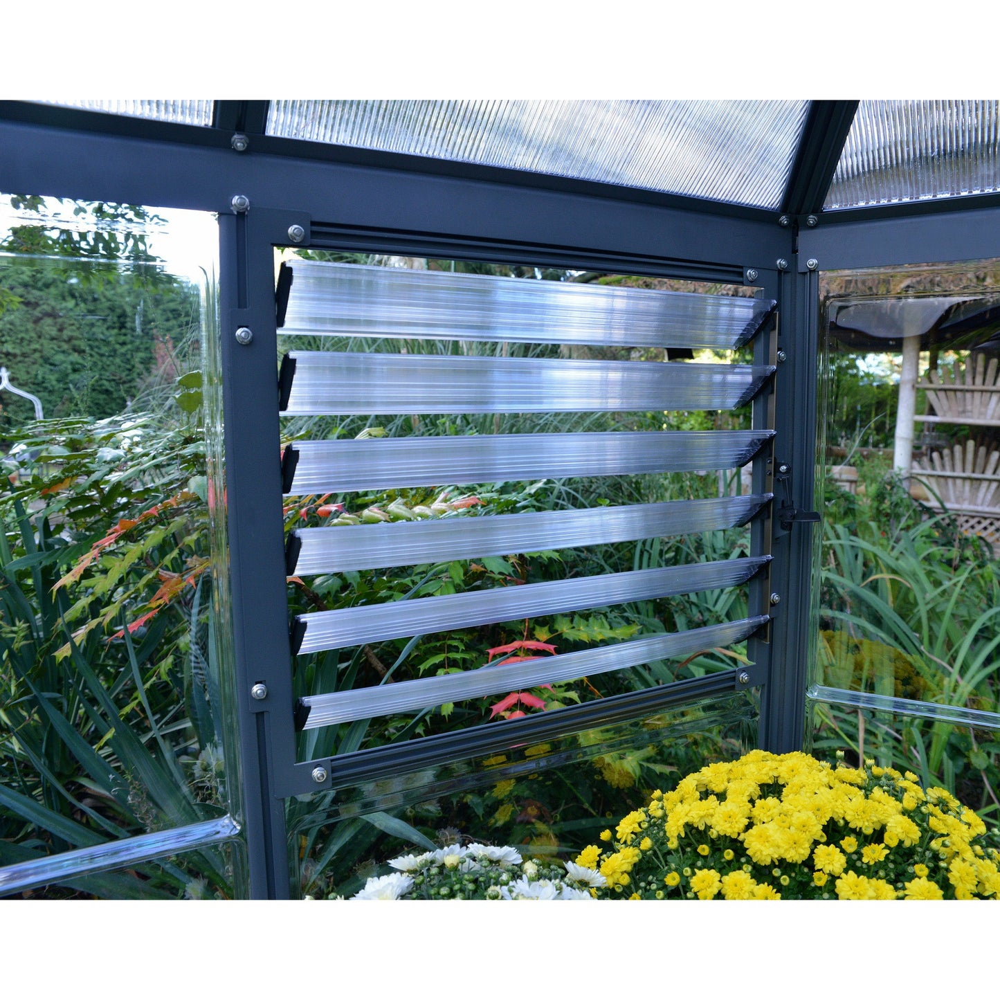 Palram Oasis Hex Greenhouse 12'