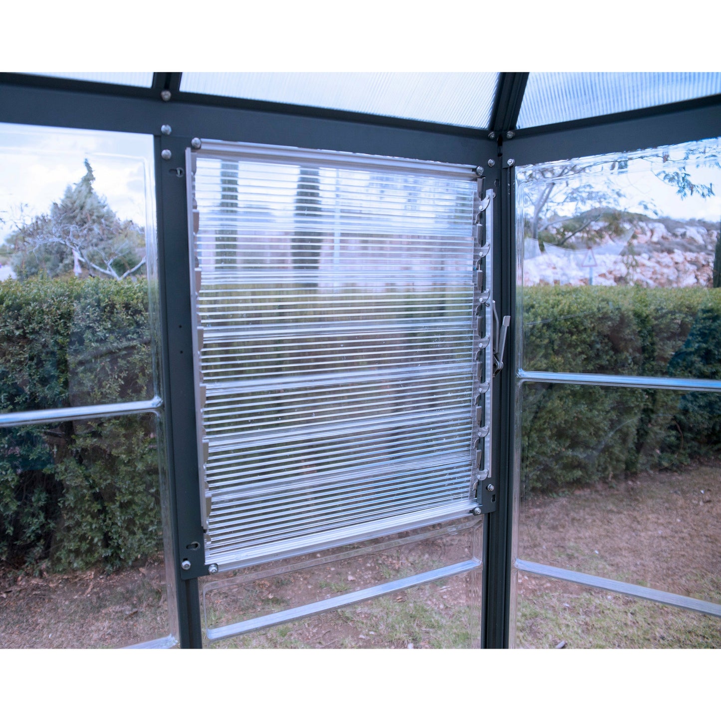 Palram Oasis Hex Greenhouse 12'