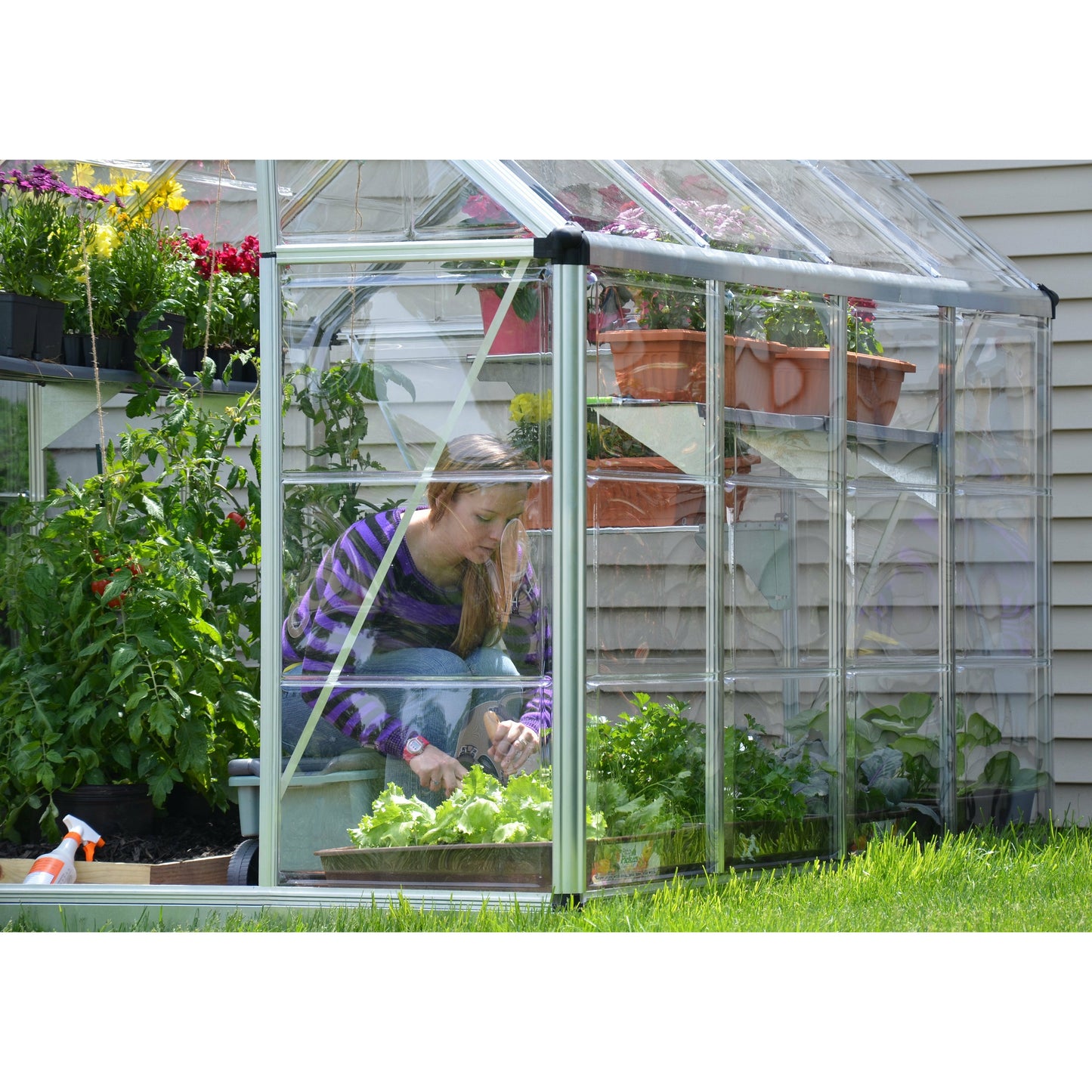 Palram Snap & Grow 6' x 8' Greenhouse - Silver