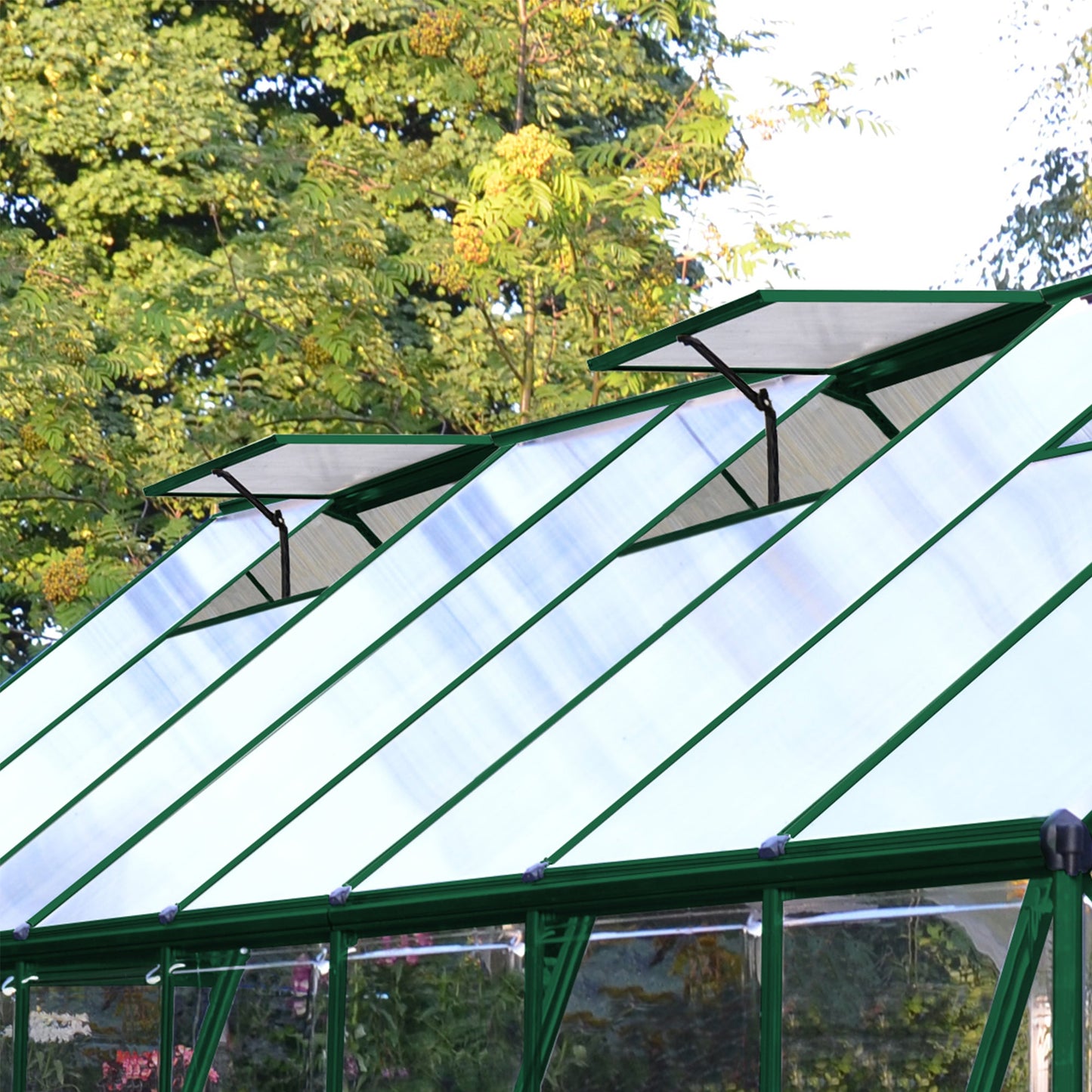 Palram Balance 8' x 8' Greenhouse