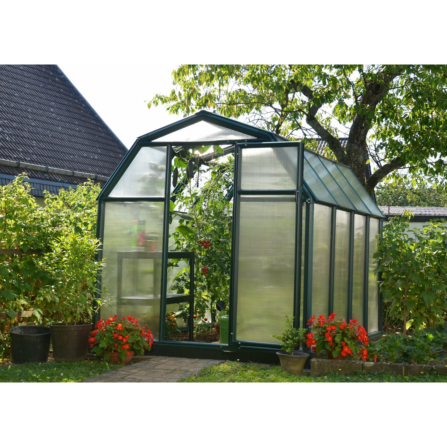 Rion EcoGrow 6' x 8' Greenhouse