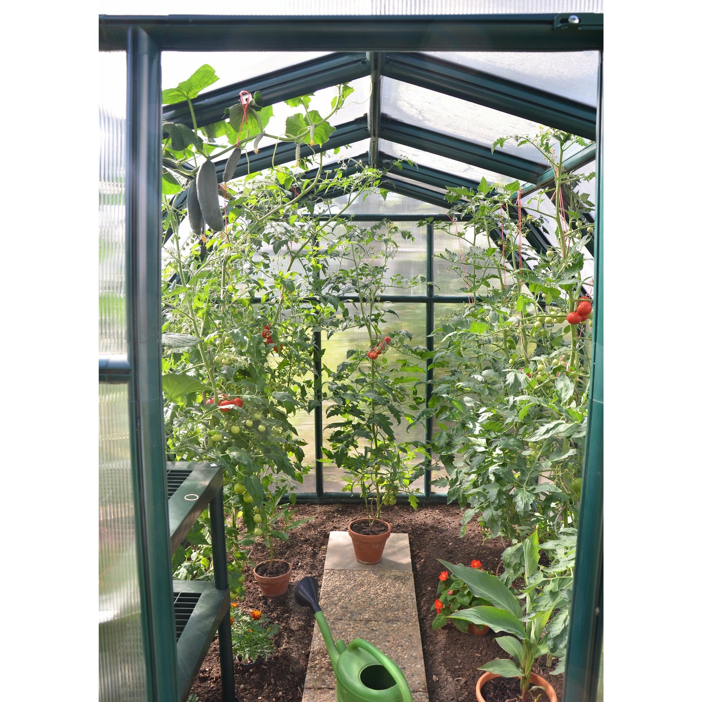 Rion EcoGrow 6' x 12' Greenhouse