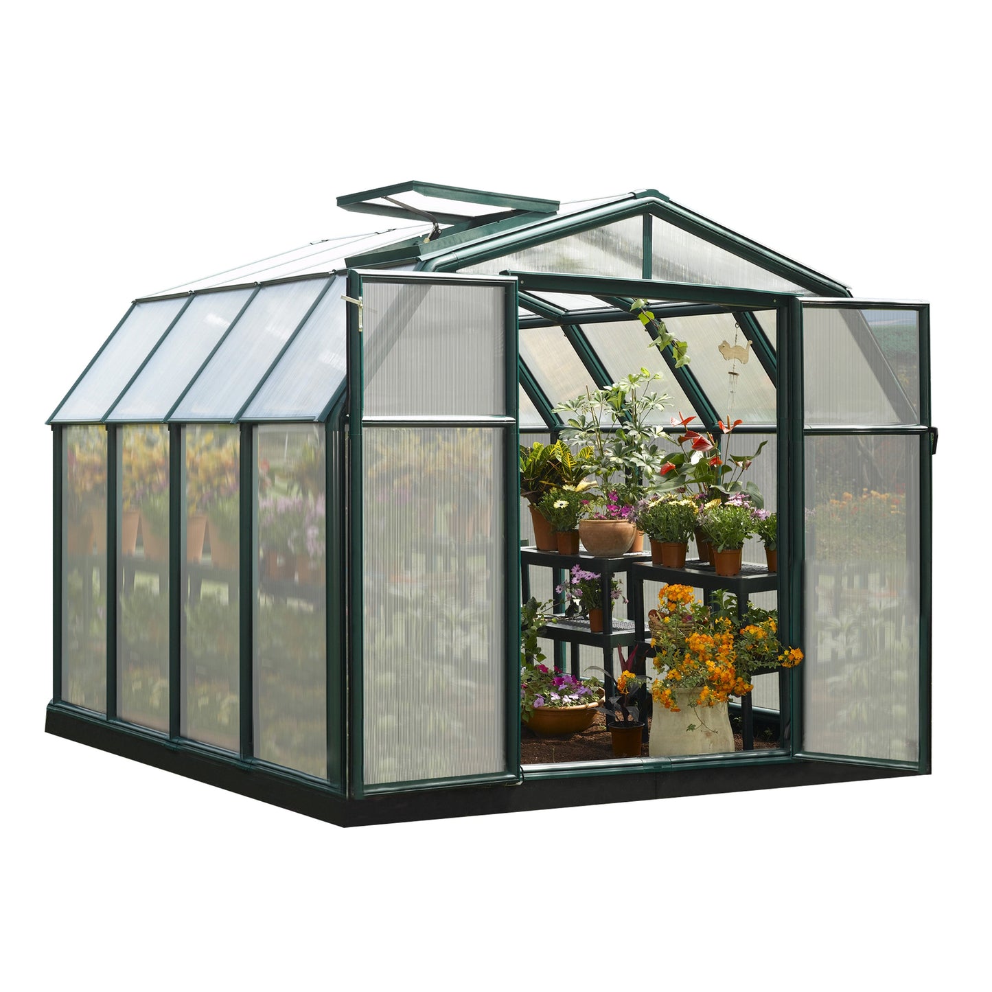 Rion Hobby Gardener 8' x 8' Greenhouse