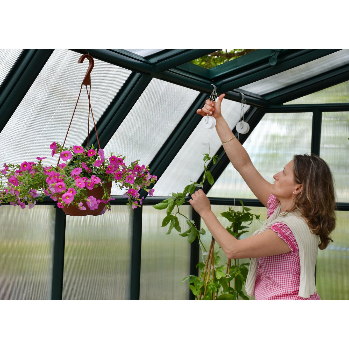 Rion Hobby Gardener 8' x 8' Greenhouse